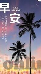 大象足球比分-当绿茵场邂逅巨足，大象足球比分背后的生态寓言与文化狂欢