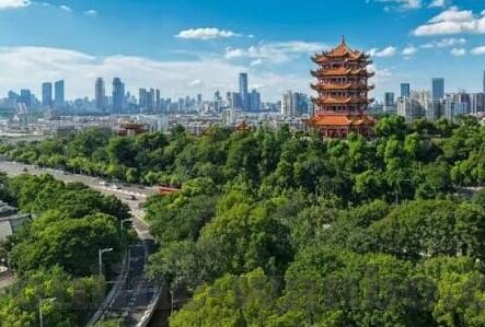 足球比分是胜负-足球比分，胜负背后的多维叙事与情感交响